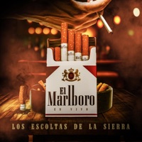 El Marlboro (En vivo) - Single - Los Escoltas De La Sierra