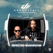 Infected Mushroom at Dreamstate Socal, 2023 (DJ Mix) artwork