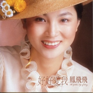 好好愛我 (2009年Remix版)