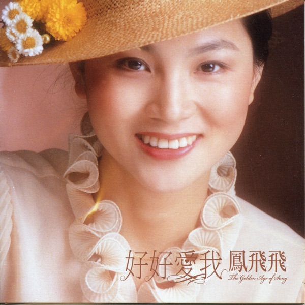 好好愛我 (2009年Remix版)