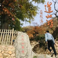 道山游 - Single - Kenny Bee