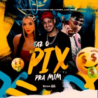 Faz O Pix Pra Mim (feat. Lais Miron & Mc Lukeba) - Single - Clayton Da Bagaceira & DJ RD