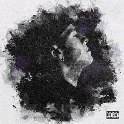 O Sonho dos Mil Gatos - Single