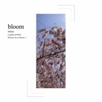 Bloom - Single