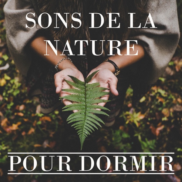 Sons de la Nature Pour Dormir