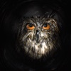 journey - Single