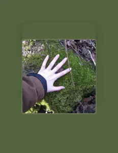 Starchildを聴いたり、ミュージックビデオを鑑賞したり、経歴やツアー日程などを確認したりしましょう!