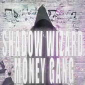 SHADOW WIZARD MONEY GANG artwork