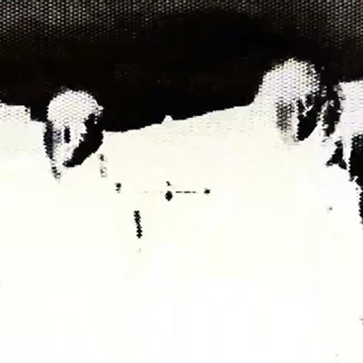 Bat activity - Single