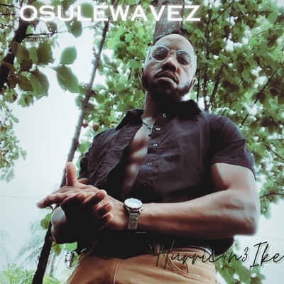 OsuleWavez - Single