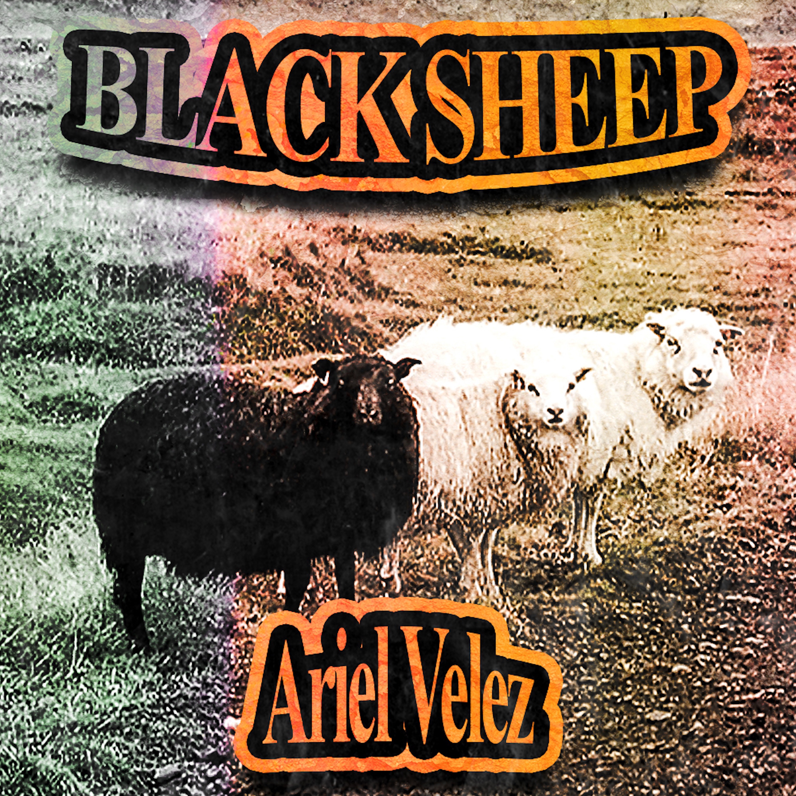 Black Sheep - Single
