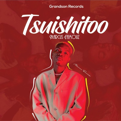 Tsuishitoo - Single
