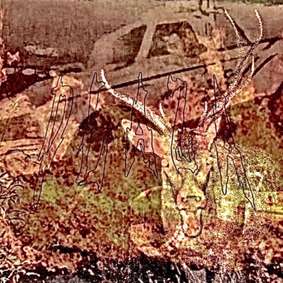 Burning Field - Single