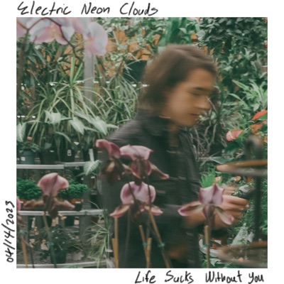 Life Sucks Without You - Single