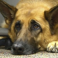 Sloboda - Single - Konflikt