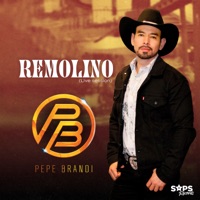 Remolino (Live Session) - Single - Pepe Brandi