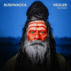 Healer (Remixes) - Bushwacka!