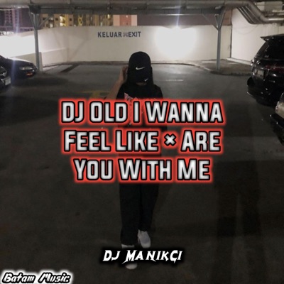 Dj Elsa - Wanna Feel Like X Dimana Kamu