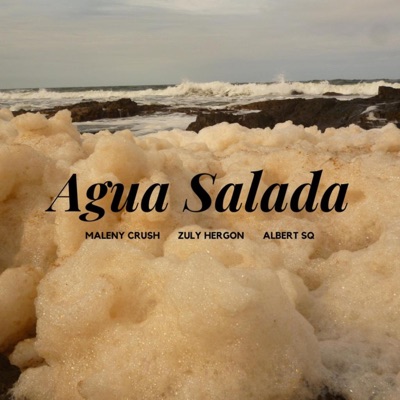 Agua Salada (feat. Zuly Hergon) - Single