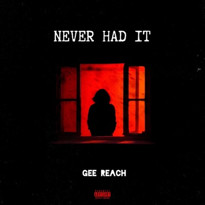 Never Had It - Single