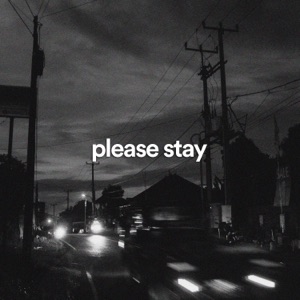 Please Stay - Single