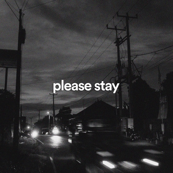 Please Stay - Single