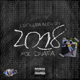 How That Feel Mic Sinatra