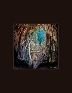 SKを聴いたり、ミュージックビデオを鑑賞したり、経歴やツアー日程などを確認したりしましょう！