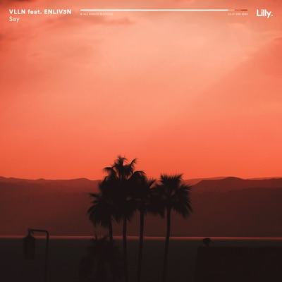 Say - Single