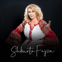 Kur u ndamë në Reçak (feat. Shkurte Fejza) - Single - FM Production