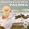 Paloma (Radio Mix) artwork