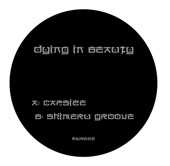 Shimeru Groove artwork