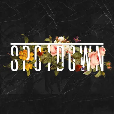 Hör dir „Spotdown (feat. Midside)“ von Mnogolikill an