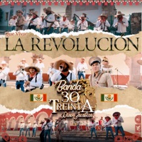 Que Viva La Revolución (Puro Zacatecas, En Vivo) - Single - Banda 30 Treinta