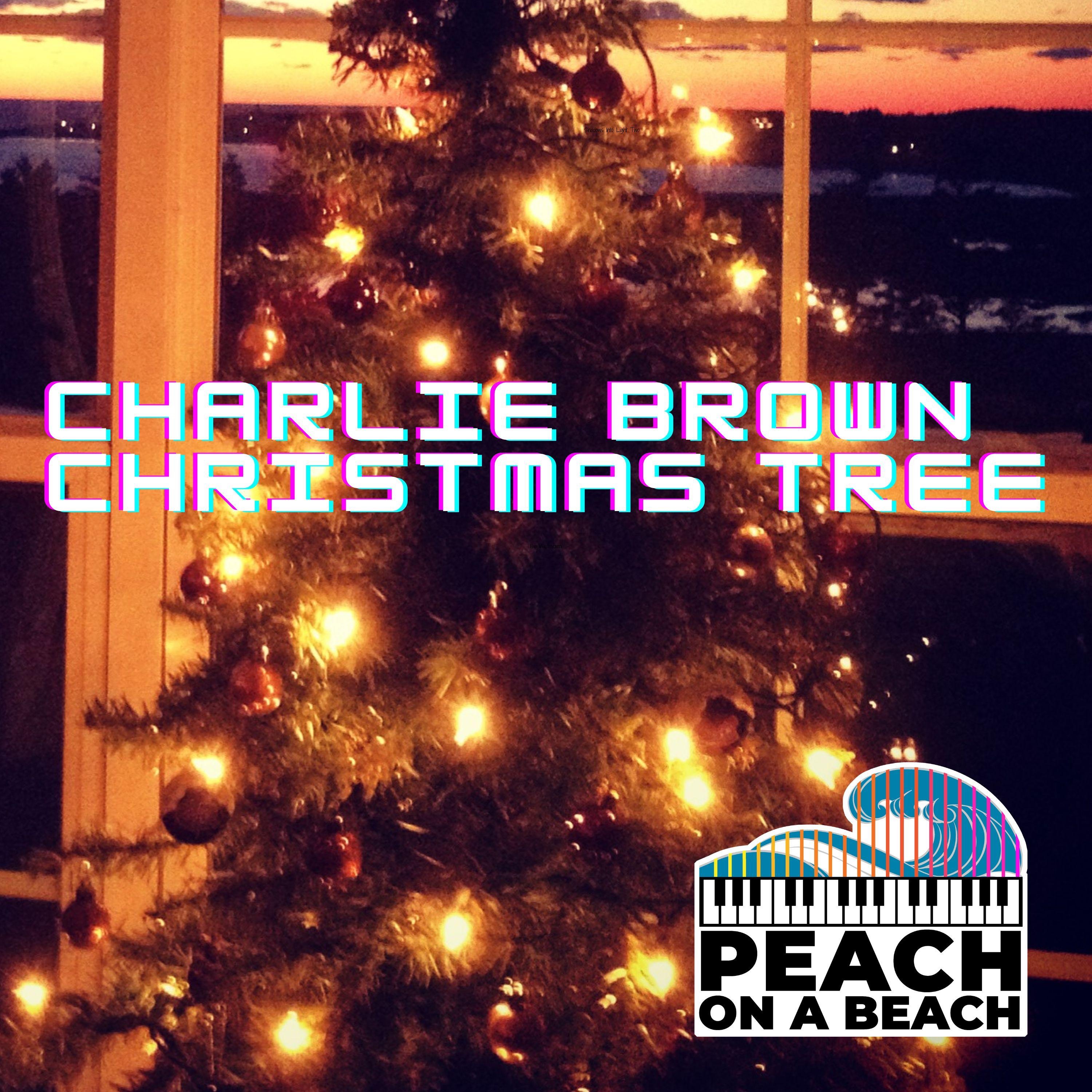 Charlie Brown Christmas Tree - Single