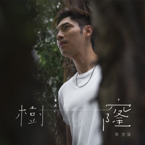 樹窿