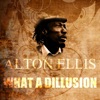 What a Dillusion - Single