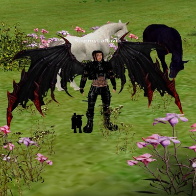 Viviendo Entre Mundos Paralelos & Dimenciones Infinitas