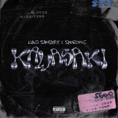 KAWASAKI - Single