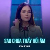 Sao Chưa Thấy Hồi Âm - Single