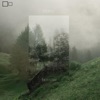 Green Willow cover art