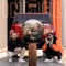 INFIEL (feat. Mean Lean29) - S.Garrucho lyrics