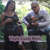 Yayla Çiçeği Misin - Single