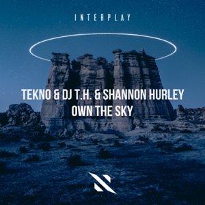 Own the Sky - Single