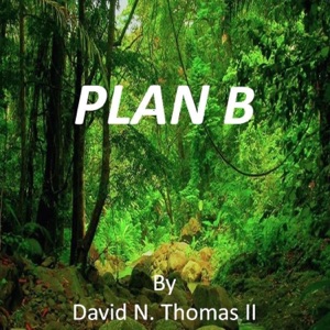 Plan B