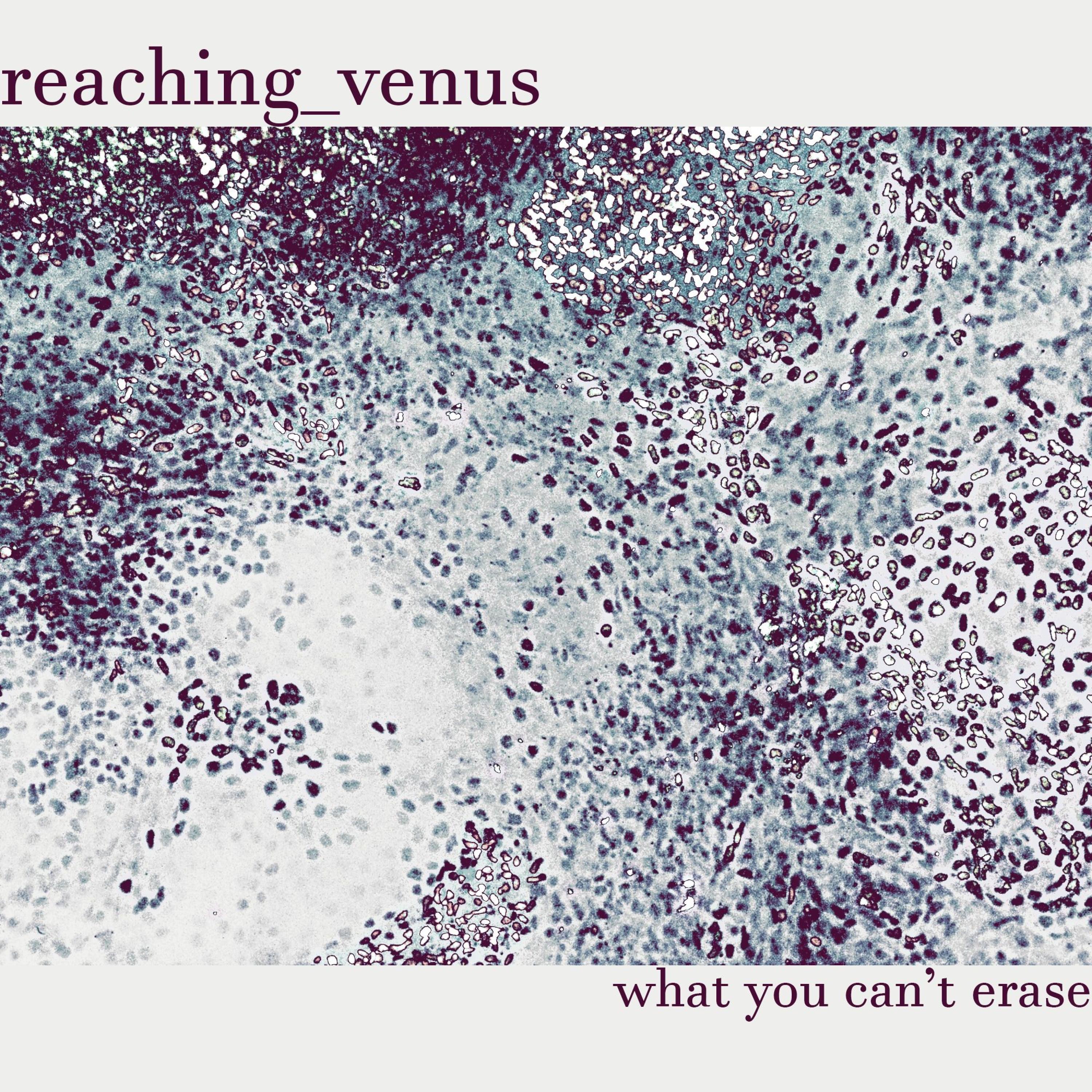 What You Can't Erase - EP