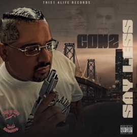 Say Less (feat. Mr. Lifted, Casper Capone, Dee, Blaze 1, Dvine & Ruffy Goddy) Gonz