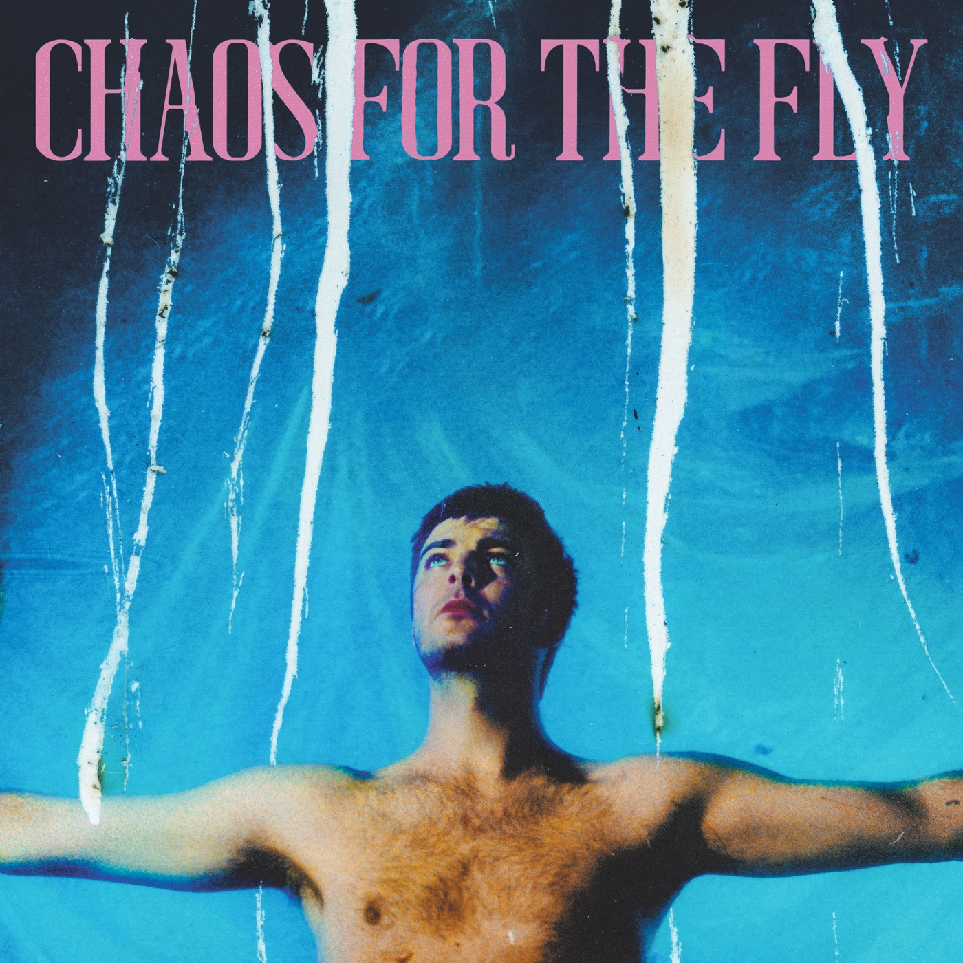 Chaos For The Fly by Grian Chatten