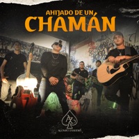 Ahijado De Un Chaman - Single - Alonso Zamudio