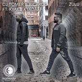 Zulu (Extended Mix) artwork